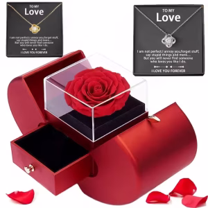 Alternative view of Eternal Rose Bear with Personalized Heart Necklace